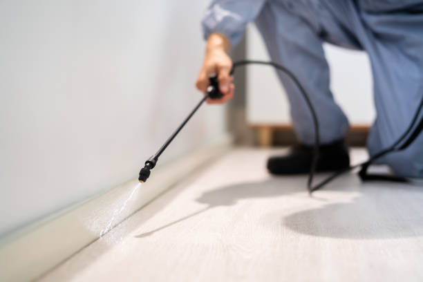 Licensed Pest Control service in St. Albans, WV - Show Me Pest Control