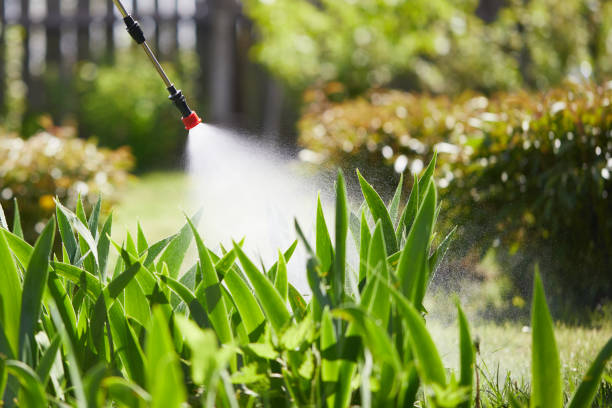 Tamper-Resistant Bait Stations for Rodents in St. Albans