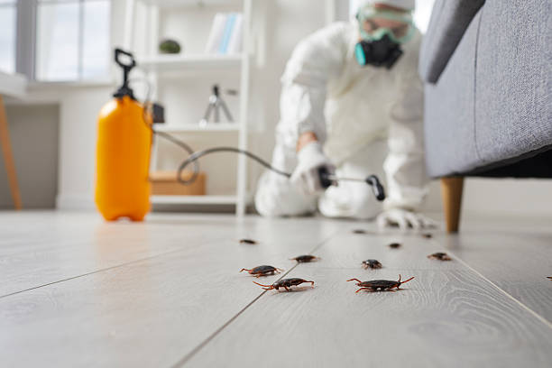 Commercial Rodent Management in St. Albans
